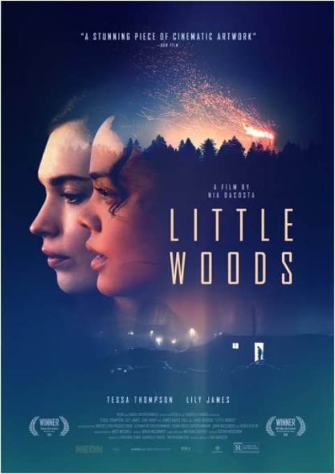 دانلود فیلم جنگل کوچک Little Woods 2018 دوبله فارسی